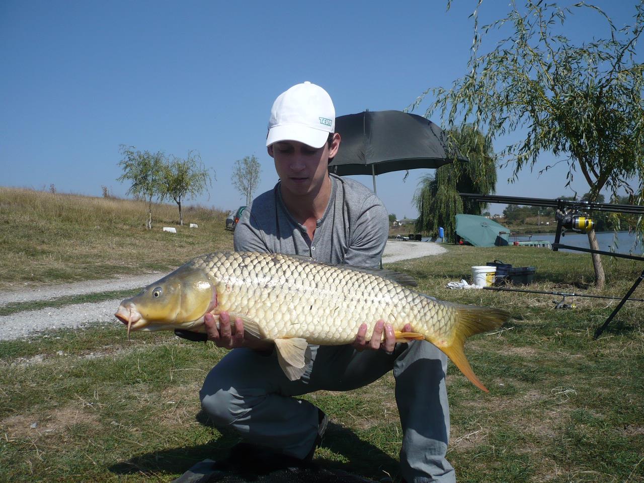 MV 2 - 19 SEPT 2014 - p1020849.JPG